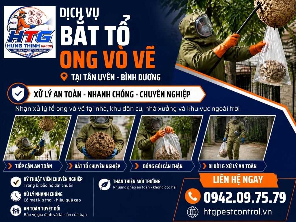 Dịch vụ bắt ong tại Tân Uyên Bình Dương,Uy tín chuyên nghiệp