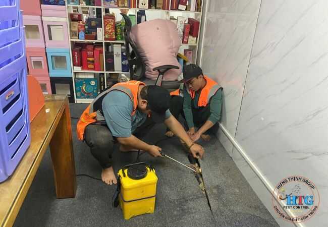 Dịch vụ diệt mối tại Quận 9 TP.Hồ Chí Minh