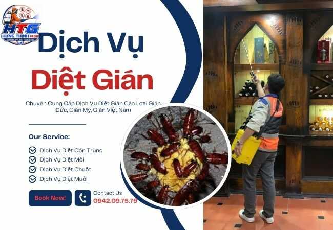 Dịch Vụ Diệt Gián Tại TP.Hồ Chí Minh