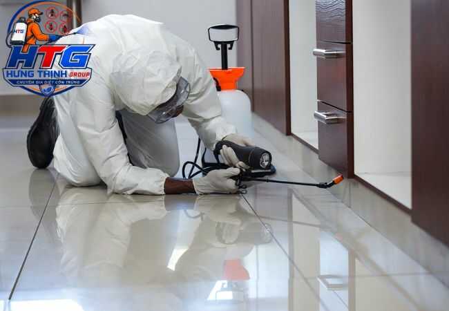 Dịch vụ diệt gián tại Bình Thạnh TP..HCM, An toàn diệt tận gốc