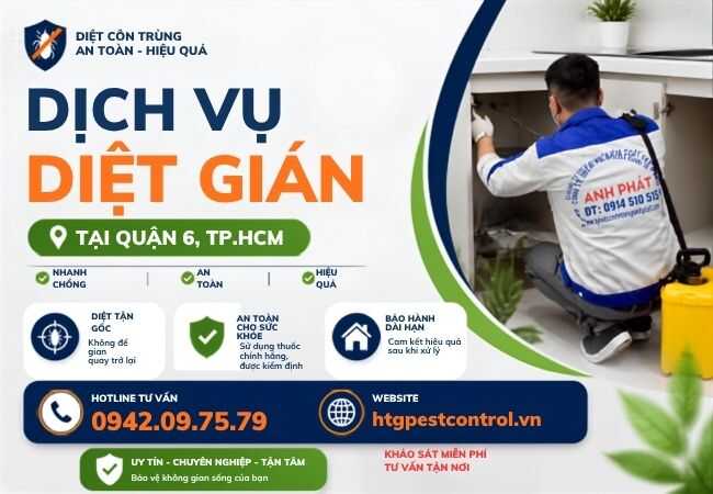Dịch vụ diệt gián tại Quận 6 TP.HCM,Hiệu quả diệt tận gốc