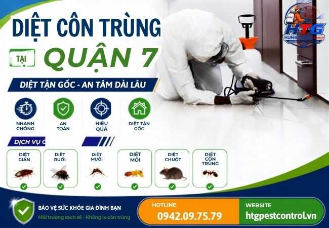 Dịch vụ diệt gián tại Quận 7 TP.HCM,An toàn hiệu quả