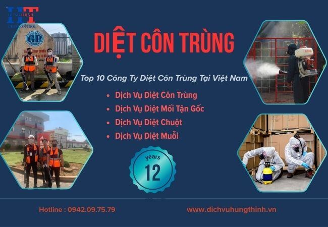 Dịch Vụ Diệt Côn Trùng Tại Quận 10 TP.HCM Giá Rẻ