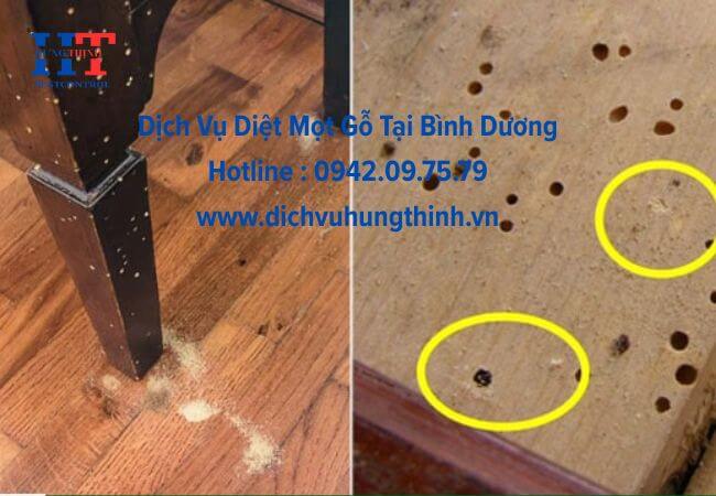 Dịch vụ diệt mọt gỗ tại Bình Dương, Diệt tận gốc
