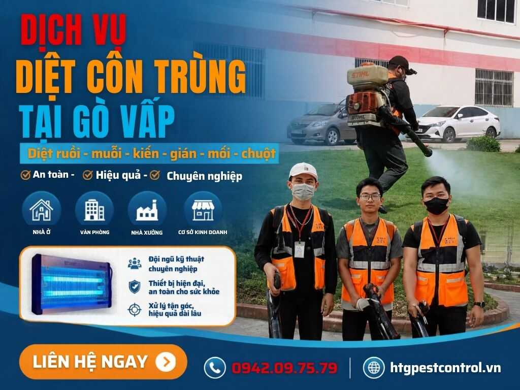 Dịch vụ diệt côn trùng tại Gò Vấp TP.HCM,Diệt tận gốc giá rẻ