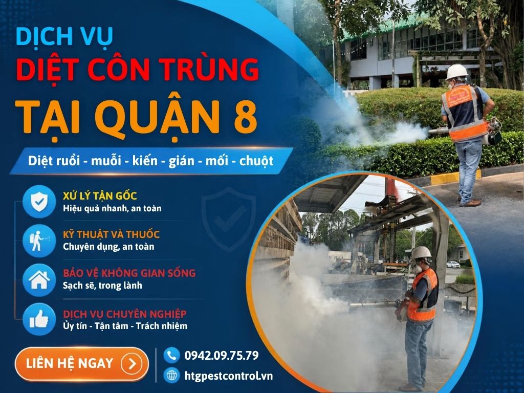 Dịch vụ diệt côn trùng tại Quận 8 TP.HCM,Uy tín chất lượng giá rẻ