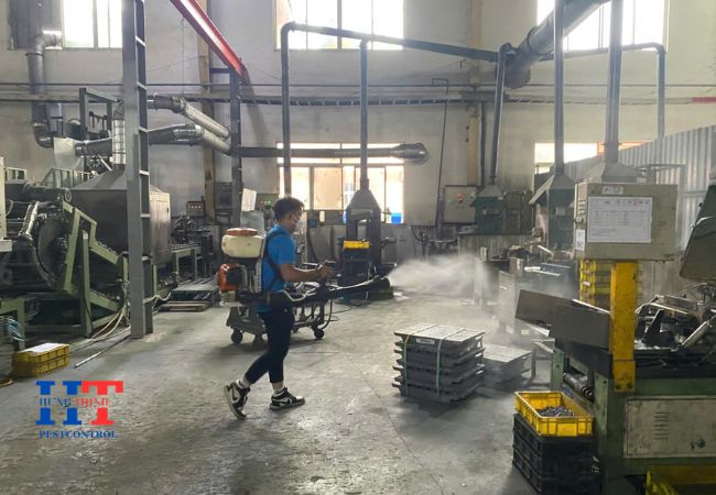 Dịch Vụ Diệt Côn Trùng Tại Bình Phước