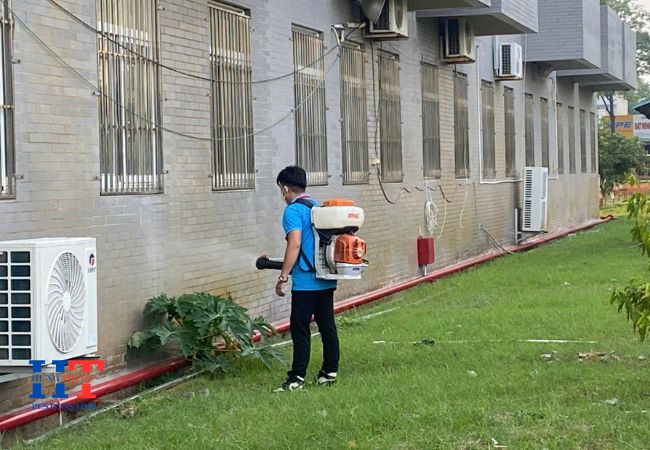 Dịch Vụ Diệt Côn Trùng Tại Bình Thuận
