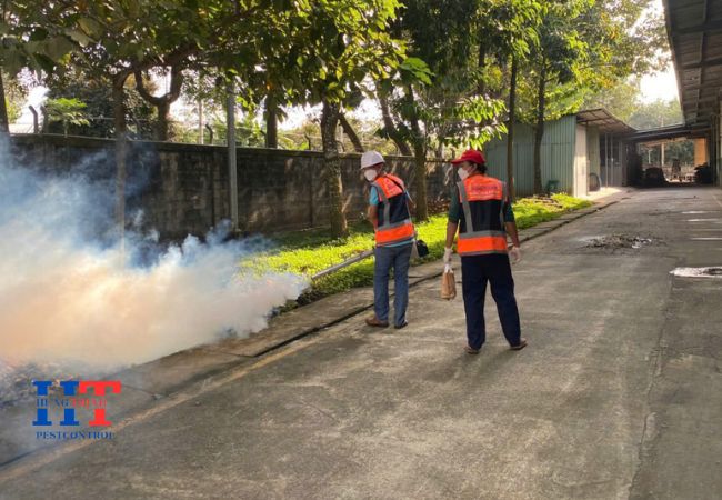 Dịch Vụ Diệt Côn Trùng Tại Hóc Môn TP. Hồ Chí Minh