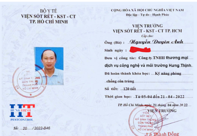 Dịch Vụ Diệt Mọt Gổ