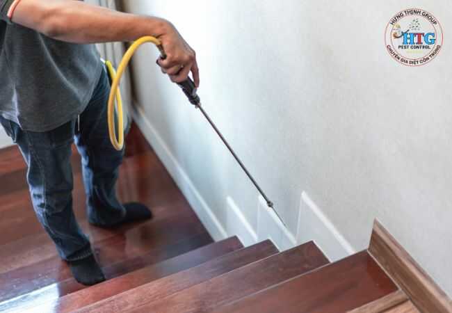 Dịch Vụ Diệt Mối Tại Phường Bình Dương TP. Hồ Chí Minh
