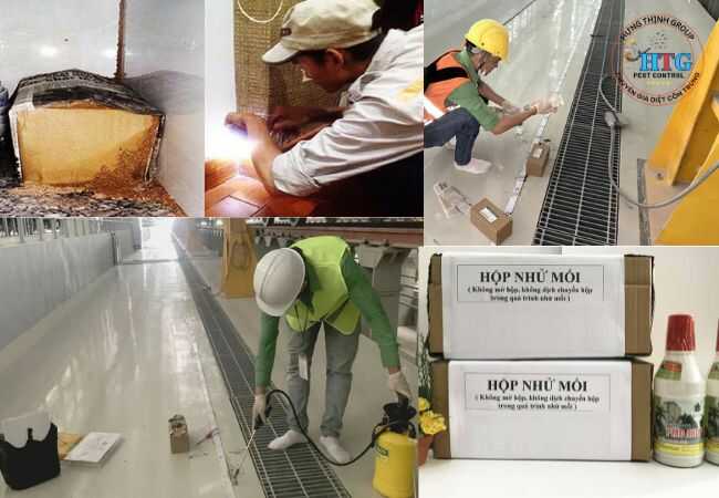 Dịch Vụ Diệt Mối Tại Nhà Bè TP. Hồ chí Minh Giá Rẻ